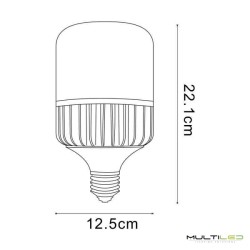 Bombilla LED 30W T100 Millo E27 Blanco Frío 6000k