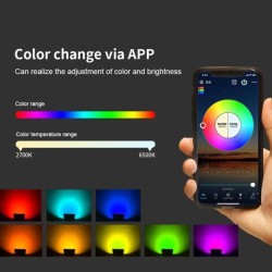 Foco Proyector Led inalámbrico 45W RGB+CCT (2700k-6500k) IP66 Bluetooth Mesh grupal