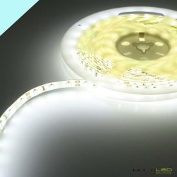 Tira led profesional SMD3528, 60Leds/Mt 8mm 4.8W/Metro IP65 12V Blanco Frío 6000k