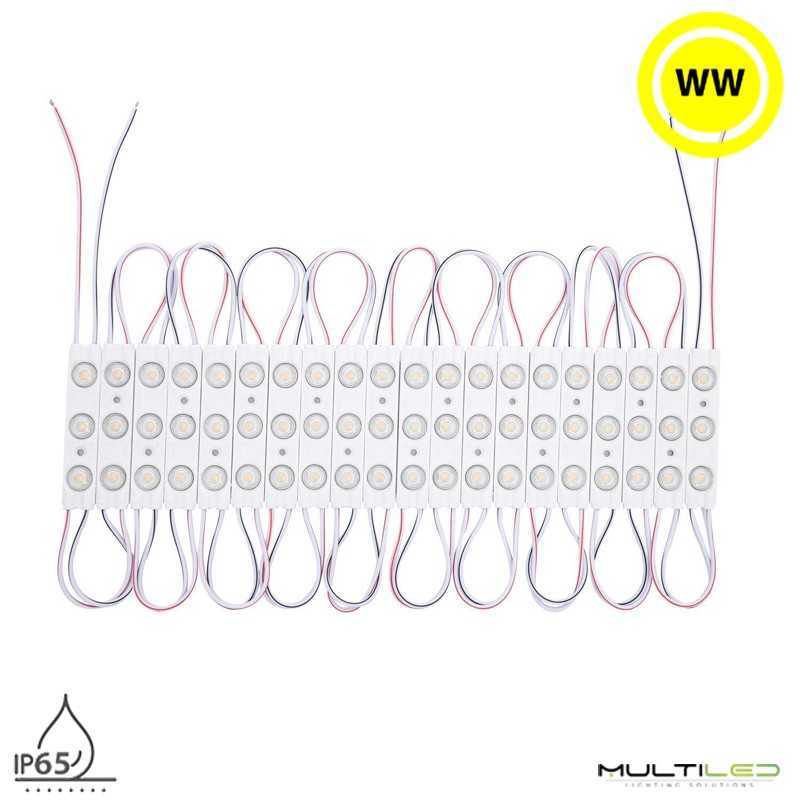 Modulo LED SMD2835 x3 20 Piezas x 2W 40W IP65 220V AC 160º 2.5mts 3000k para Carteles y retroiluminación
