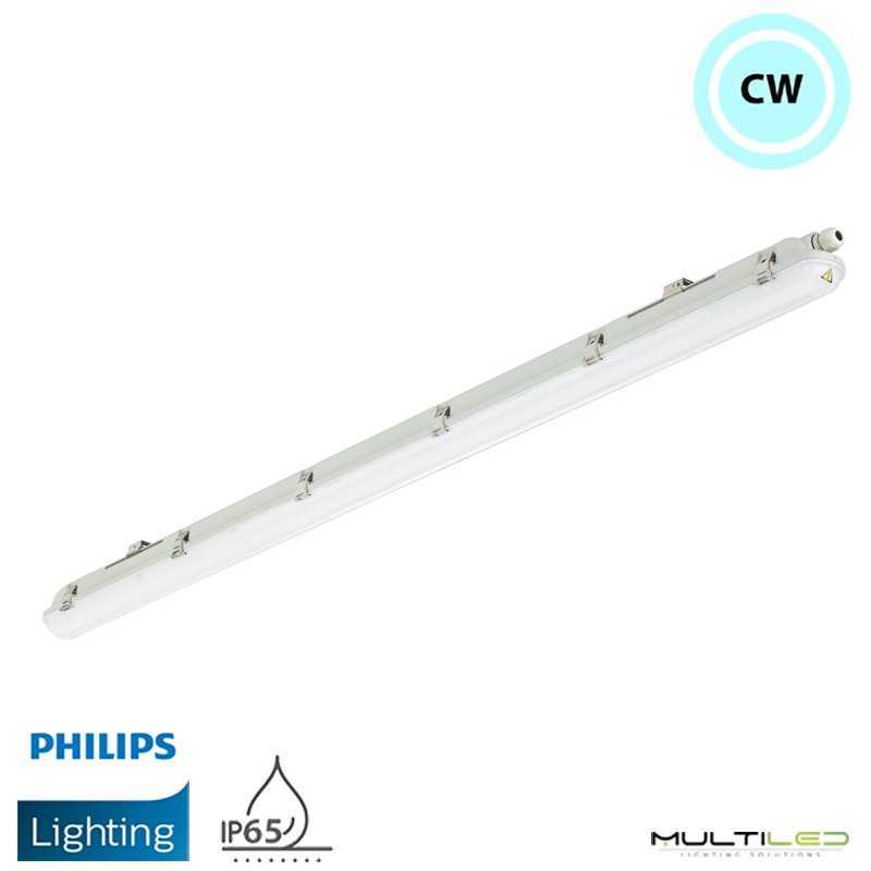 Pantalla estanca Led Philips Ledinaire WT065C 31W 1500mm 3500lm IP65 Blanco Frío 6500k