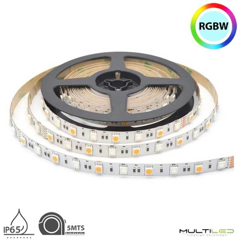 Tira led profesional SMD5050 30+30, 60Leds/Mt 10mm 12W/Metro IP65 24V RGB+CW (6000k)