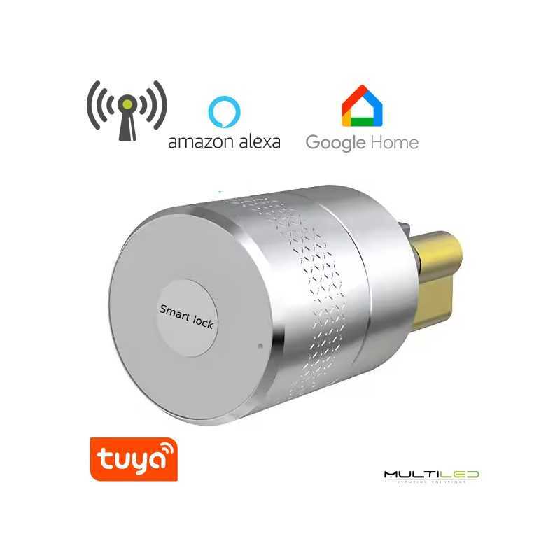 Cerradura Pomo inteligente Smart Lock/Tuya Bluetooth alu con cilindro 50-100mm